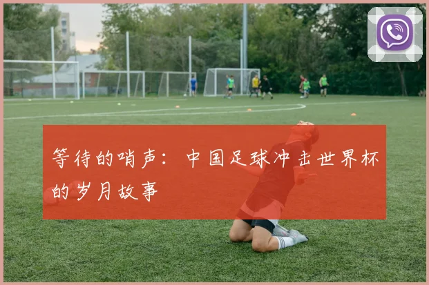 等待的哨声：中国足球冲击世界杯的岁月故事