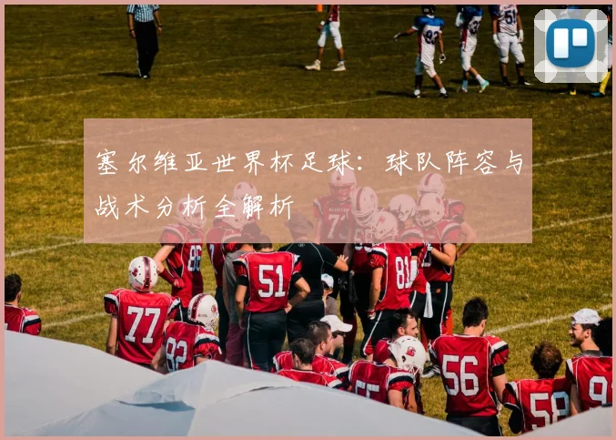 塞尔维亚世界杯足球：球队阵容与战术分析全解析